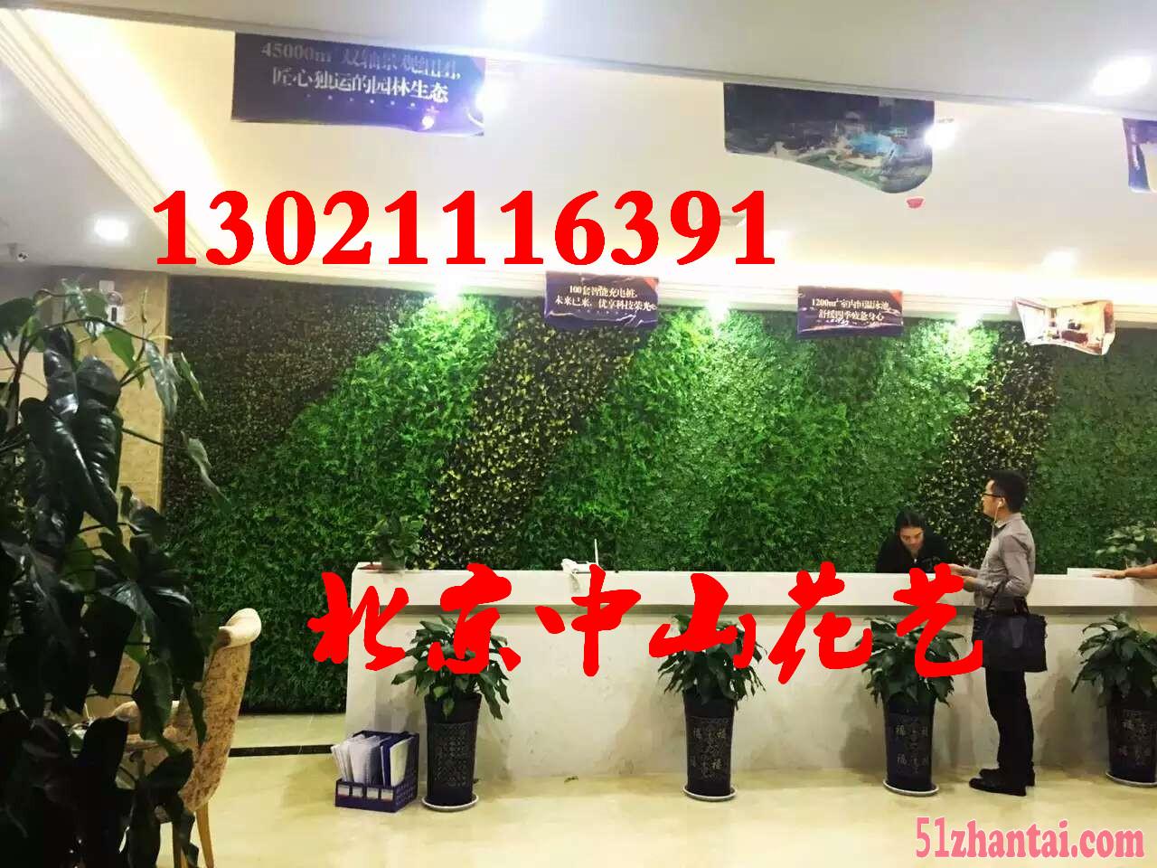 北京仿真植物墙定做室内植物墙墙体装饰绿化-图2