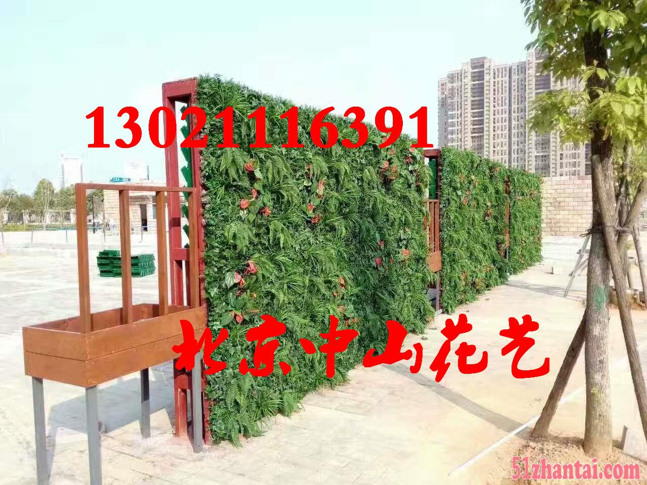 北京仿真植物墙定做室内植物墙墙体装饰绿化-图3