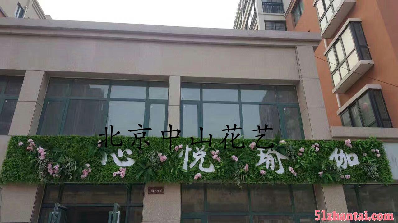 北京仿真植物墙价格咨询-图1