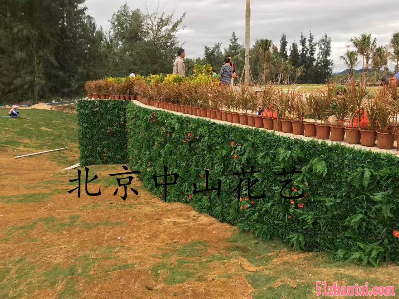 北京仿真植物墙价格咨询-图2