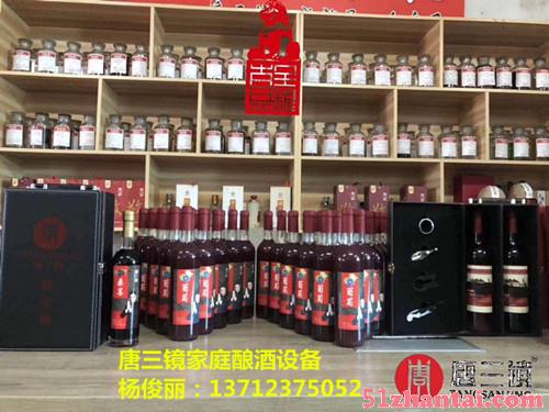 广东珠海唐三镜杨俊丽自制酿酒设备厂家-图1
