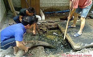 上海龙吴路清洗管道,清理污水井,管道检测-图3